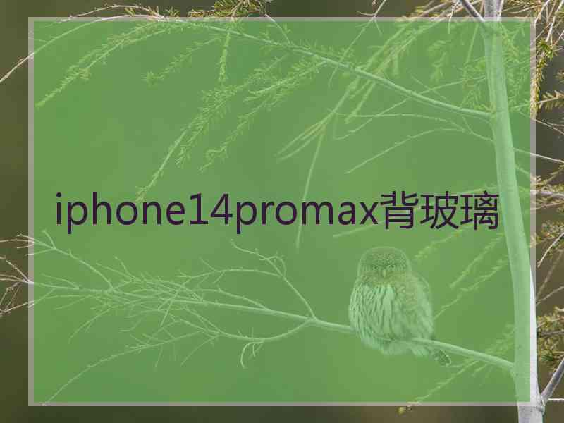 iphone14promax背玻璃