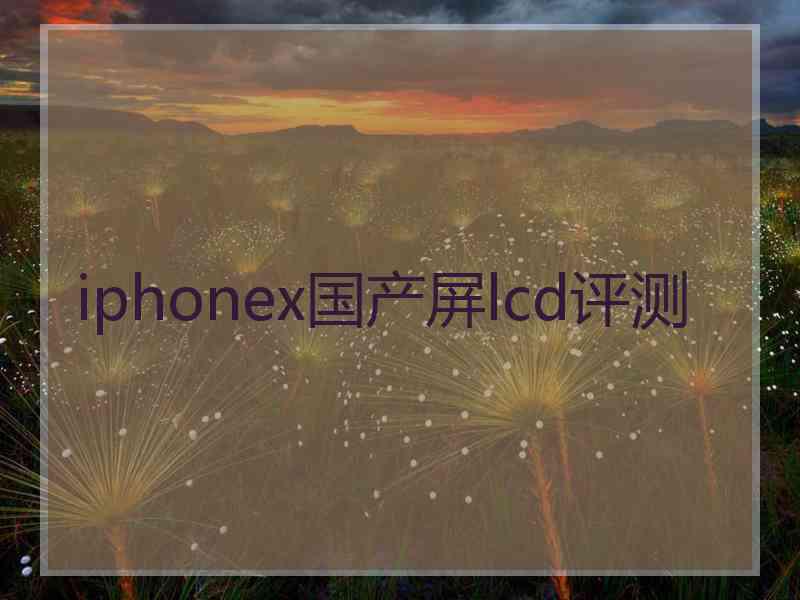 iphonex国产屏lcd评测