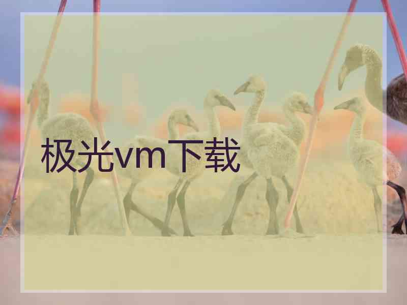 极光vm下载