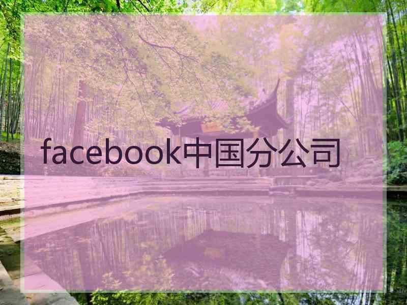 facebook中国分公司