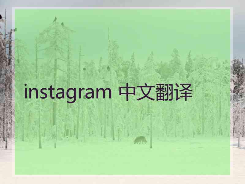 instagram 中文翻译