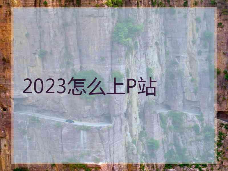 2023怎么上P站