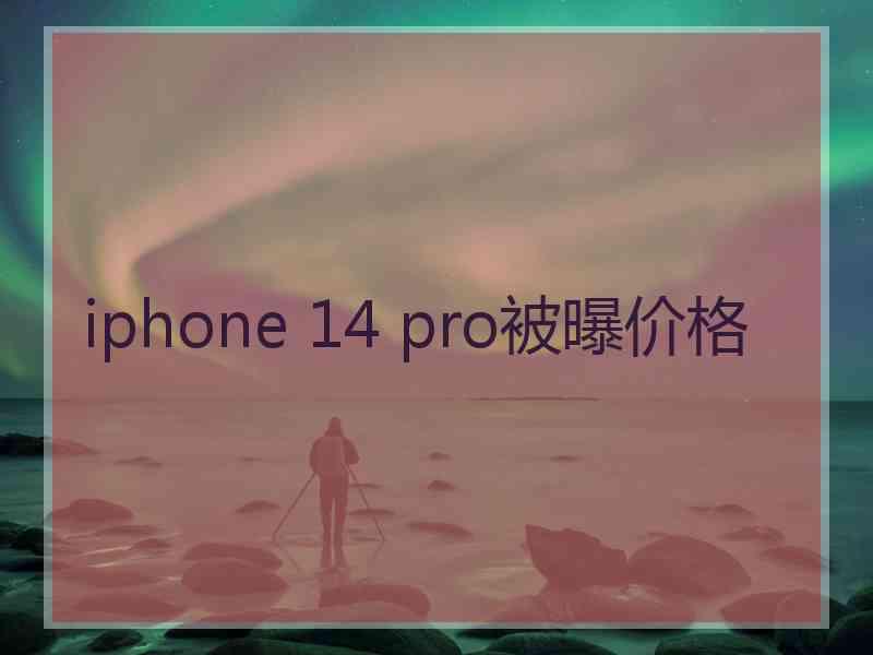 iphone 14 pro被曝价格