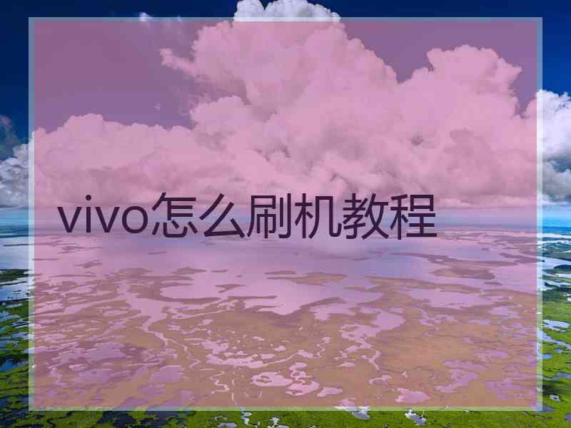 vivo怎么刷机教程