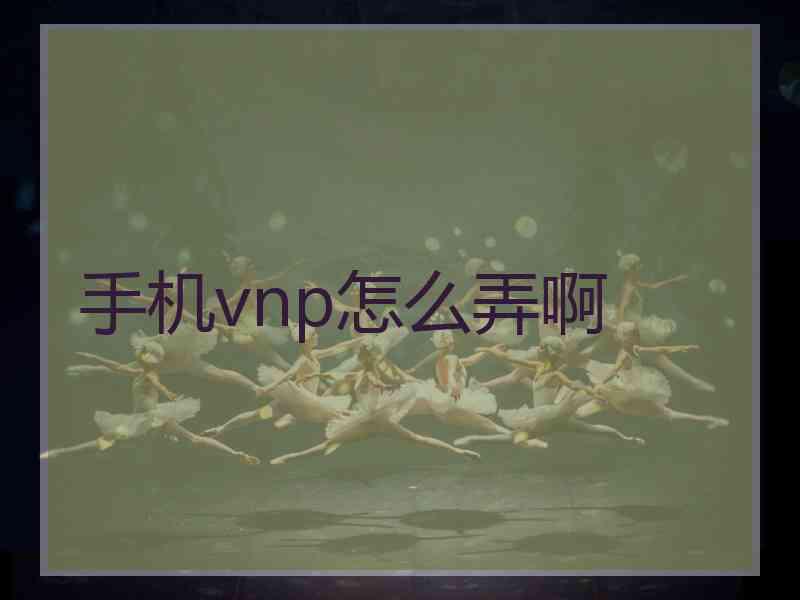 手机vnp怎么弄啊