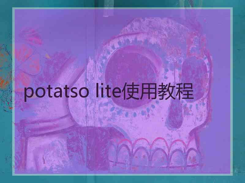 potatso lite使用教程