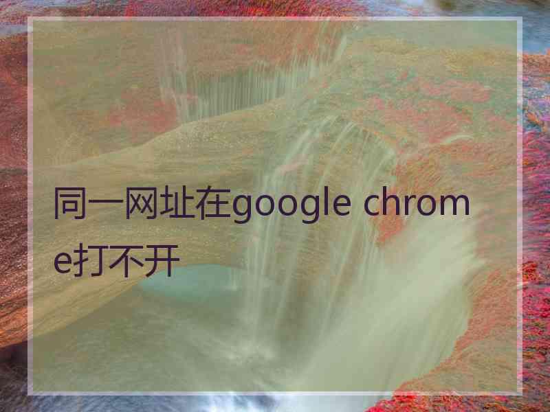 同一网址在google chrome打不开