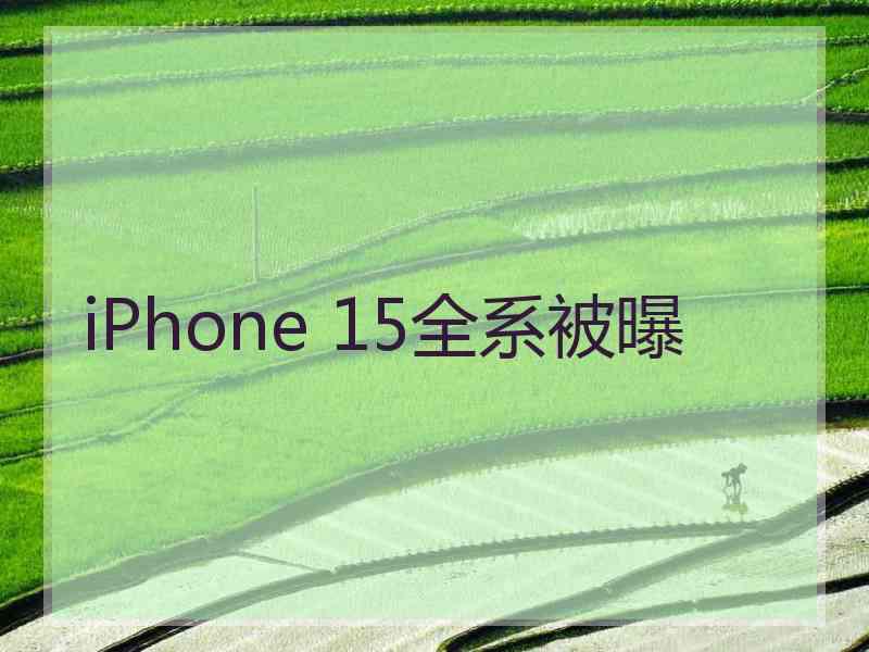 iPhone 15全系被曝