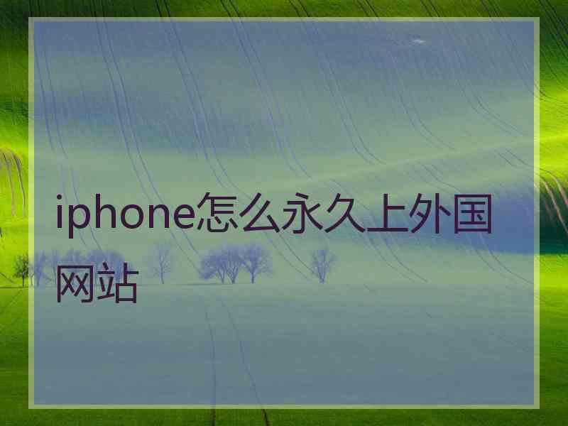 iphone怎么永久上外国网站