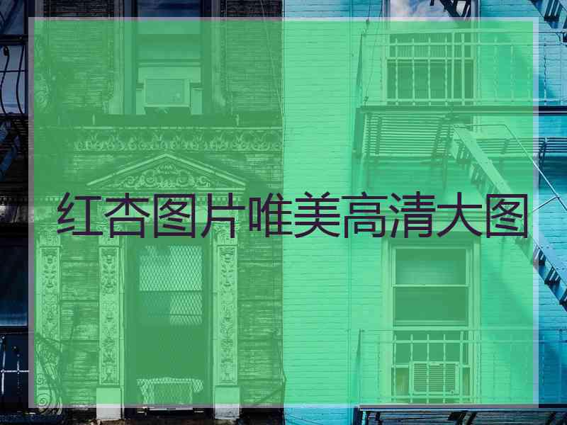 红杏图片唯美高清大图