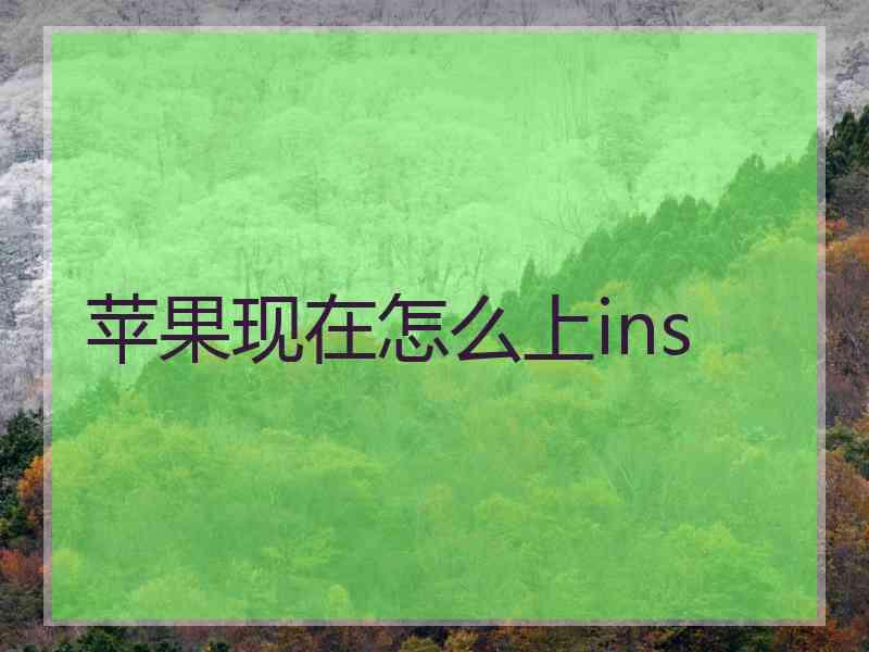 苹果现在怎么上ins