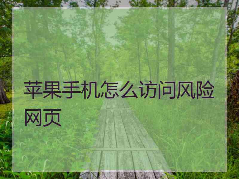 苹果手机怎么访问风险网页