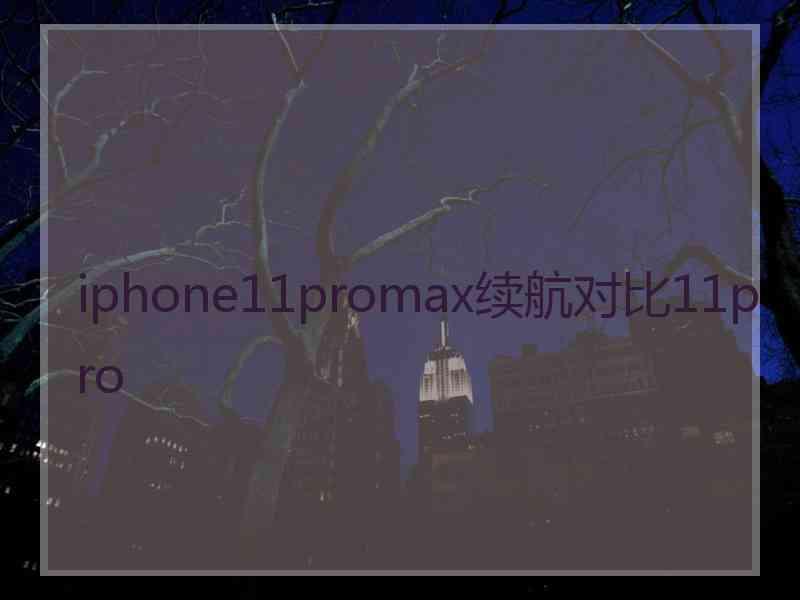 iphone11promax续航对比11pro