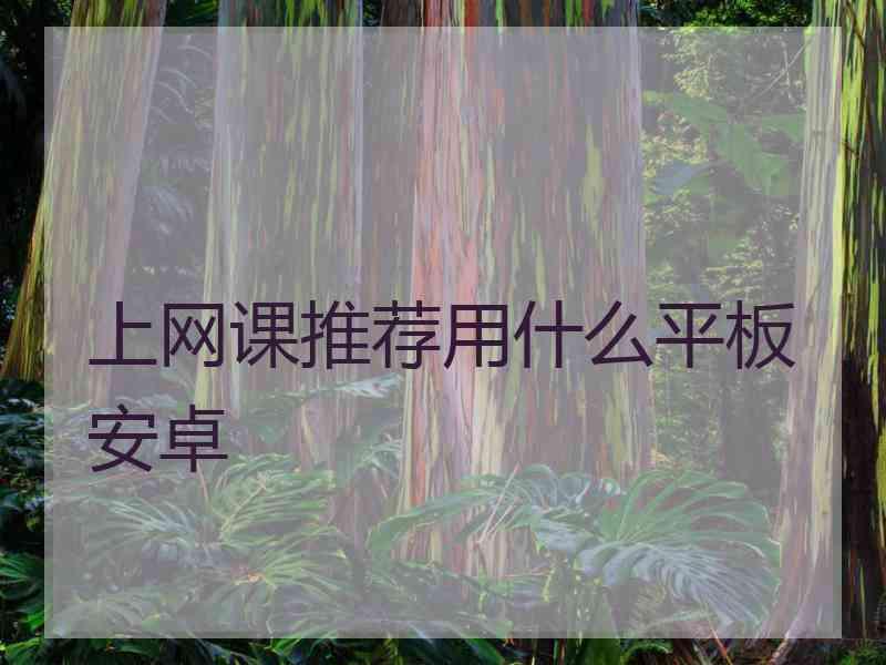 上网课推荐用什么平板安卓