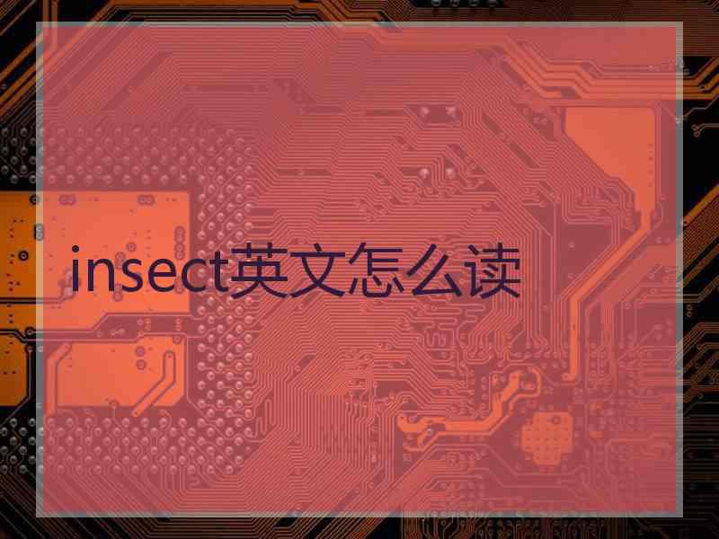 insect英文怎么读