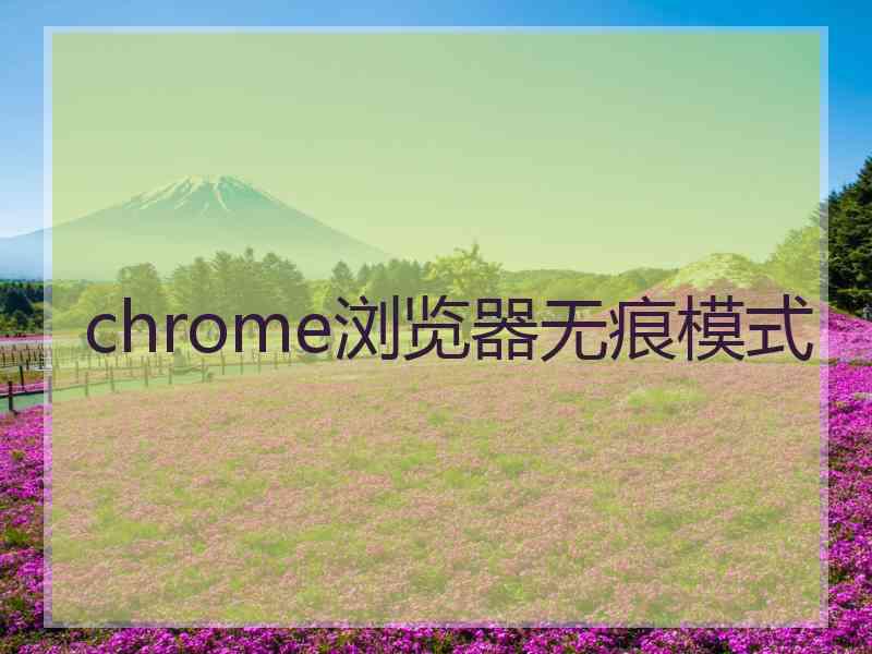 chrome浏览器无痕模式