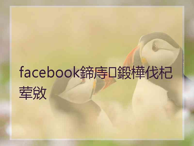 facebook鍗庤鍛樺伐杞荤敓