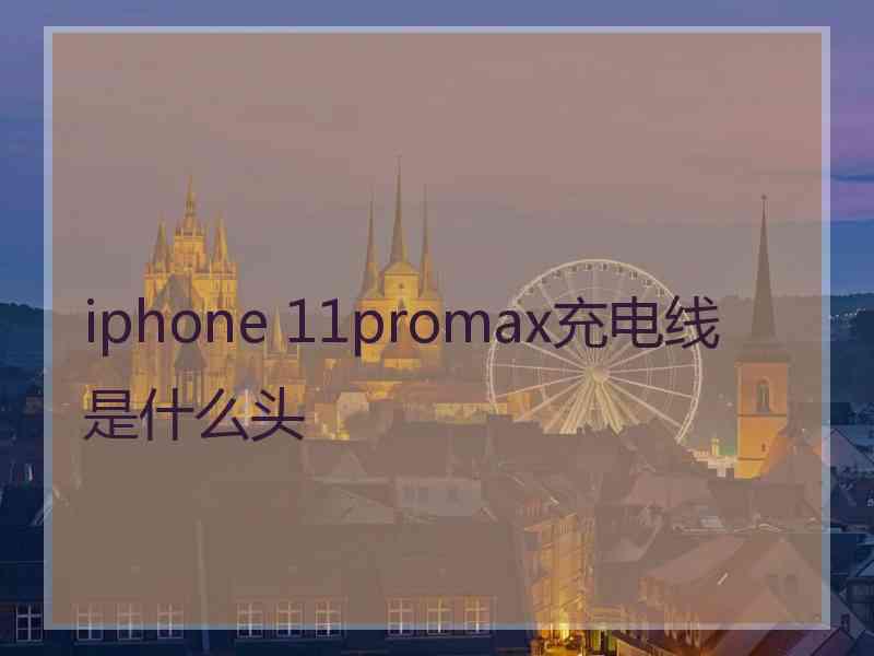 iphone 11promax充电线是什么头