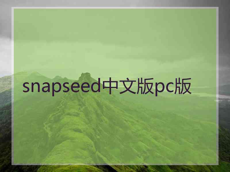 snapseed中文版pc版