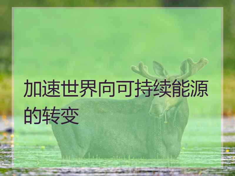 加速世界向可持续能源的转变