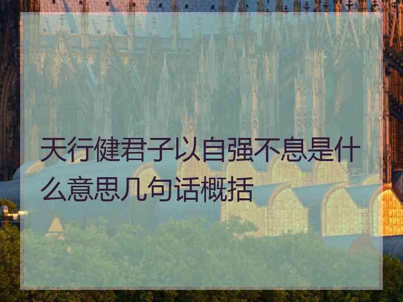 天行健君子以自强不息是什么意思几句话概括