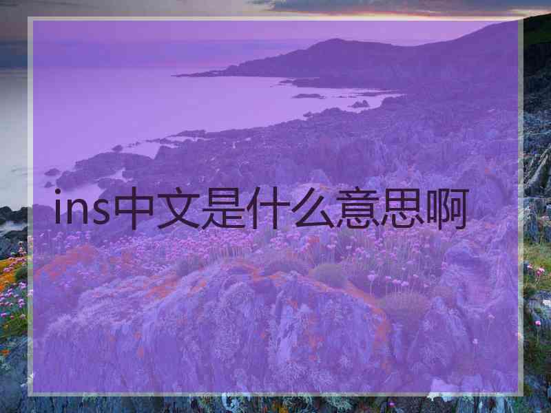 ins中文是什么意思啊