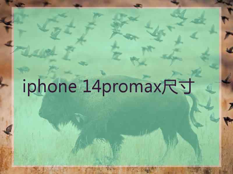 iphone 14promax尺寸