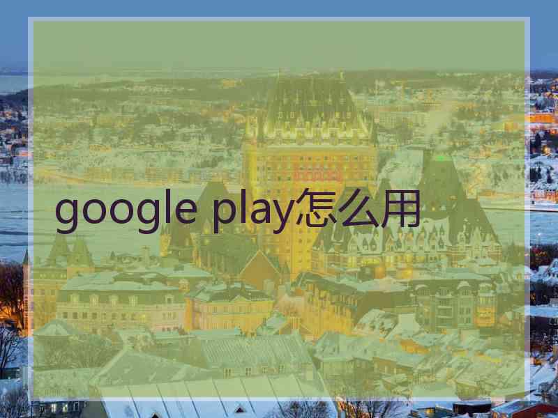 google play怎么用