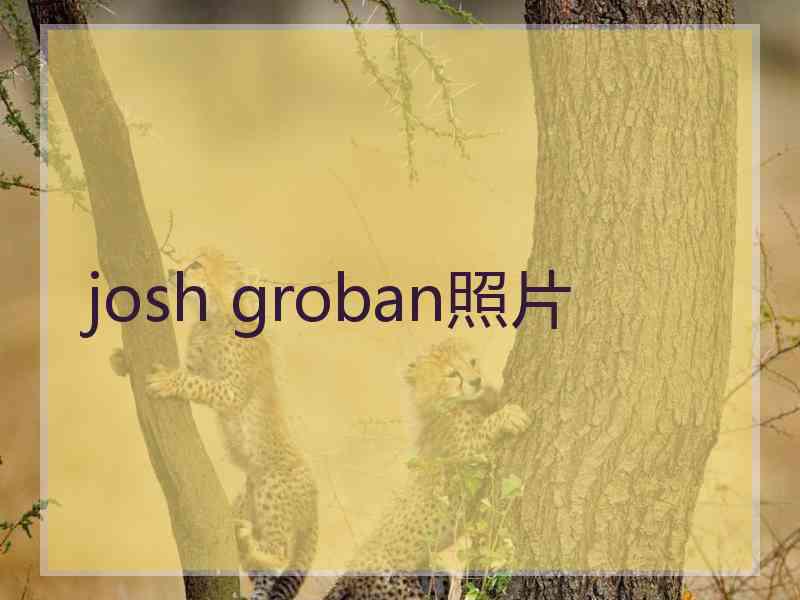 josh groban照片