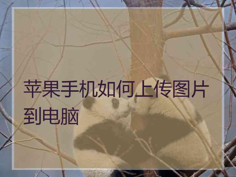 苹果手机如何上传图片到电脑