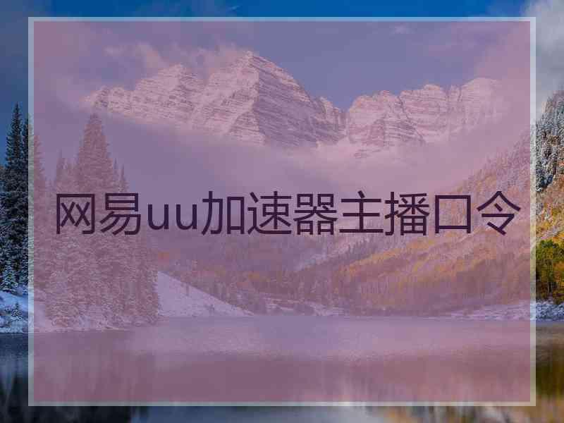 网易uu加速器主播口令