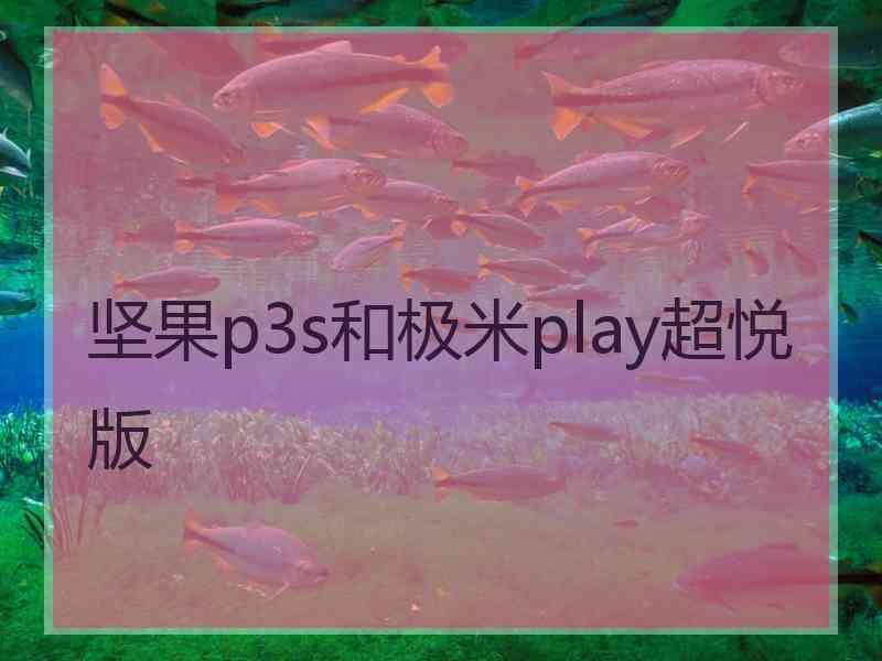 坚果p3s和极米play超悦版