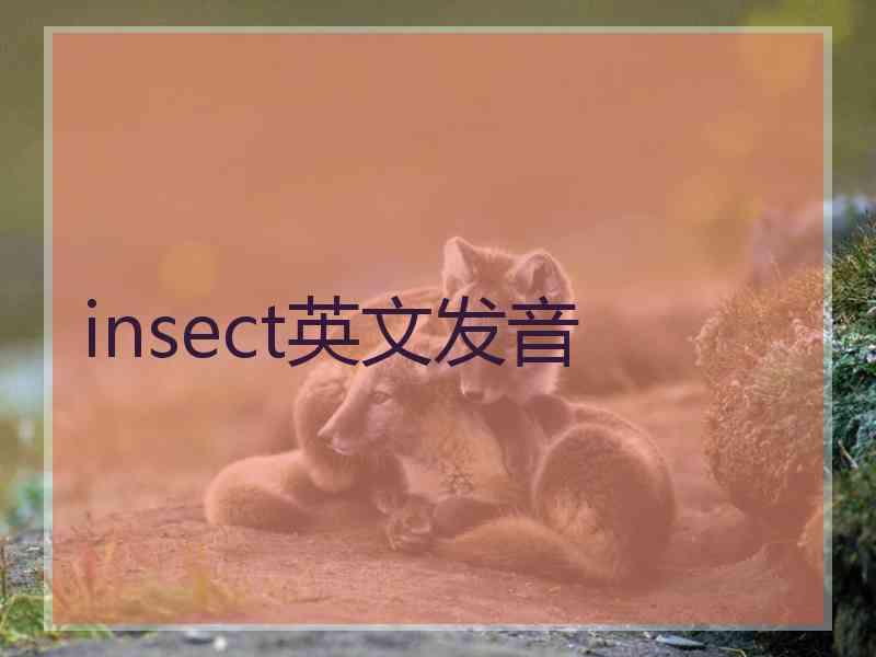 insect英文发音