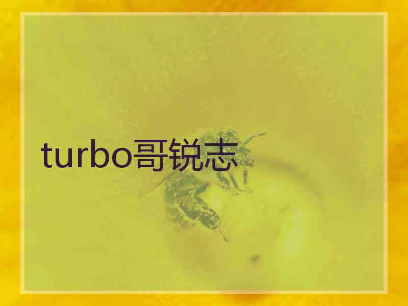 turbo哥锐志