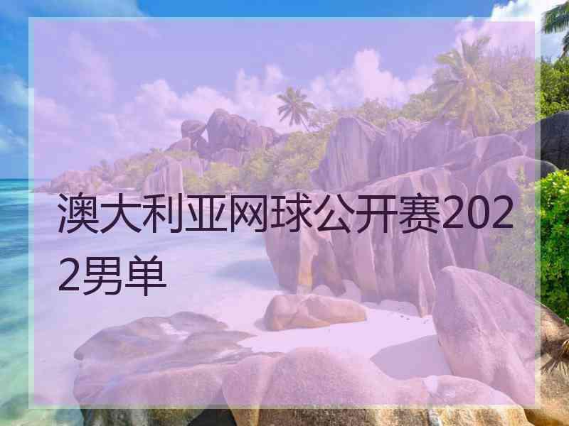 澳大利亚网球公开赛2022男单