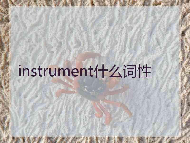 instrument什么词性