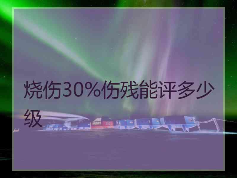 烧伤30%伤残能评多少级