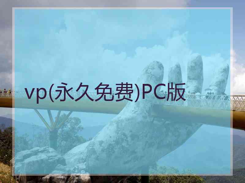 vp(永久免费)PC版