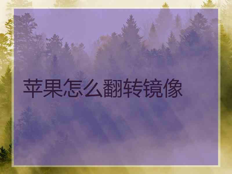 苹果怎么翻转镜像