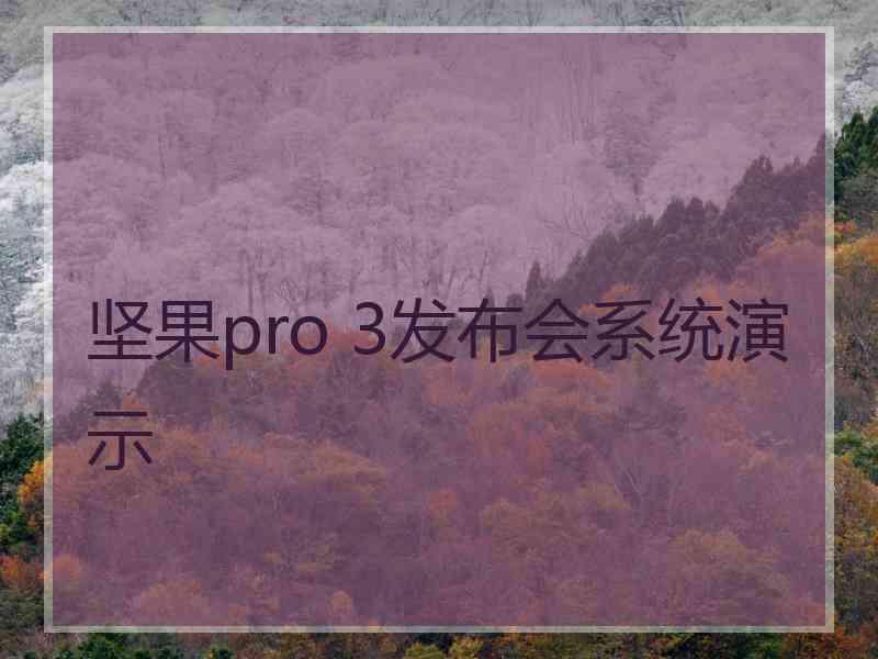 坚果pro 3发布会系统演示