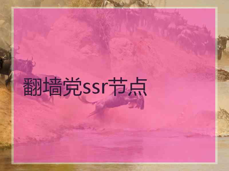 翻墙党ssr节点