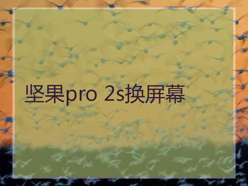 坚果pro 2s换屏幕