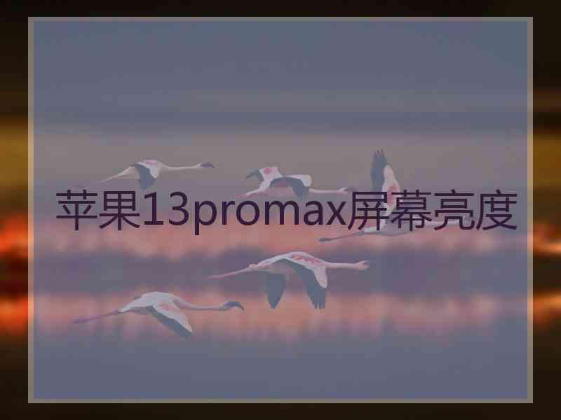 苹果13promax屏幕亮度