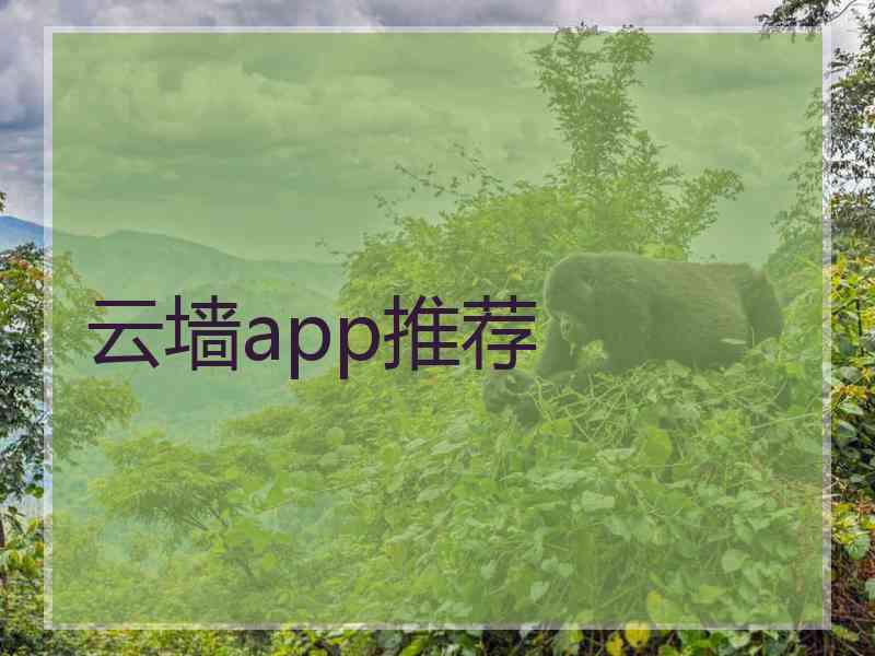 云墙app推荐