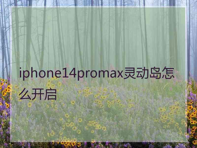 iphone14promax灵动岛怎么开启