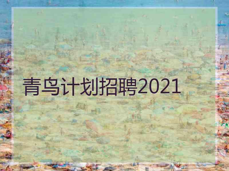 青鸟计划招聘2021