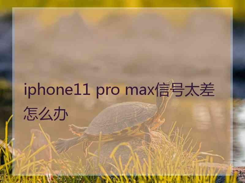 iphone11 pro max信号太差怎么办