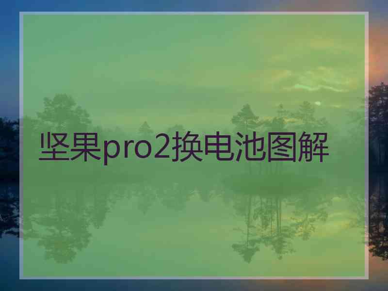 坚果pro2换电池图解