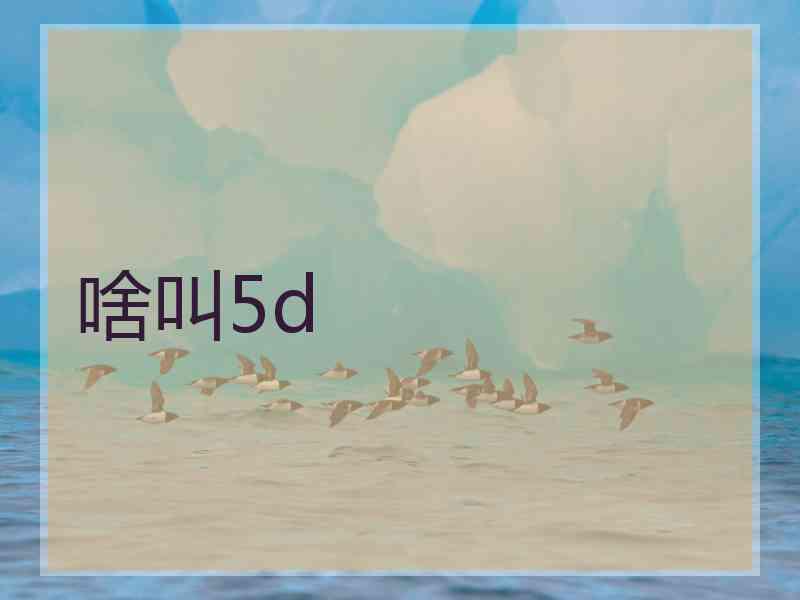 啥叫5d