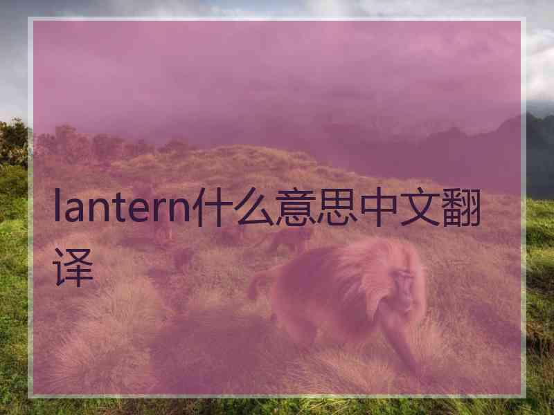 lantern什么意思中文翻译